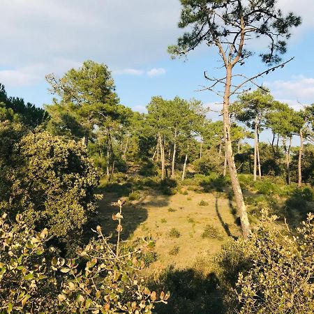Pied A Terre A Deux Pas De La Mer, Des Commodites Saint-Jean-de-Monts Zewnętrze zdjęcie